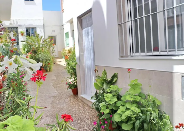 Estudio Nardo * Conil De La Frontera